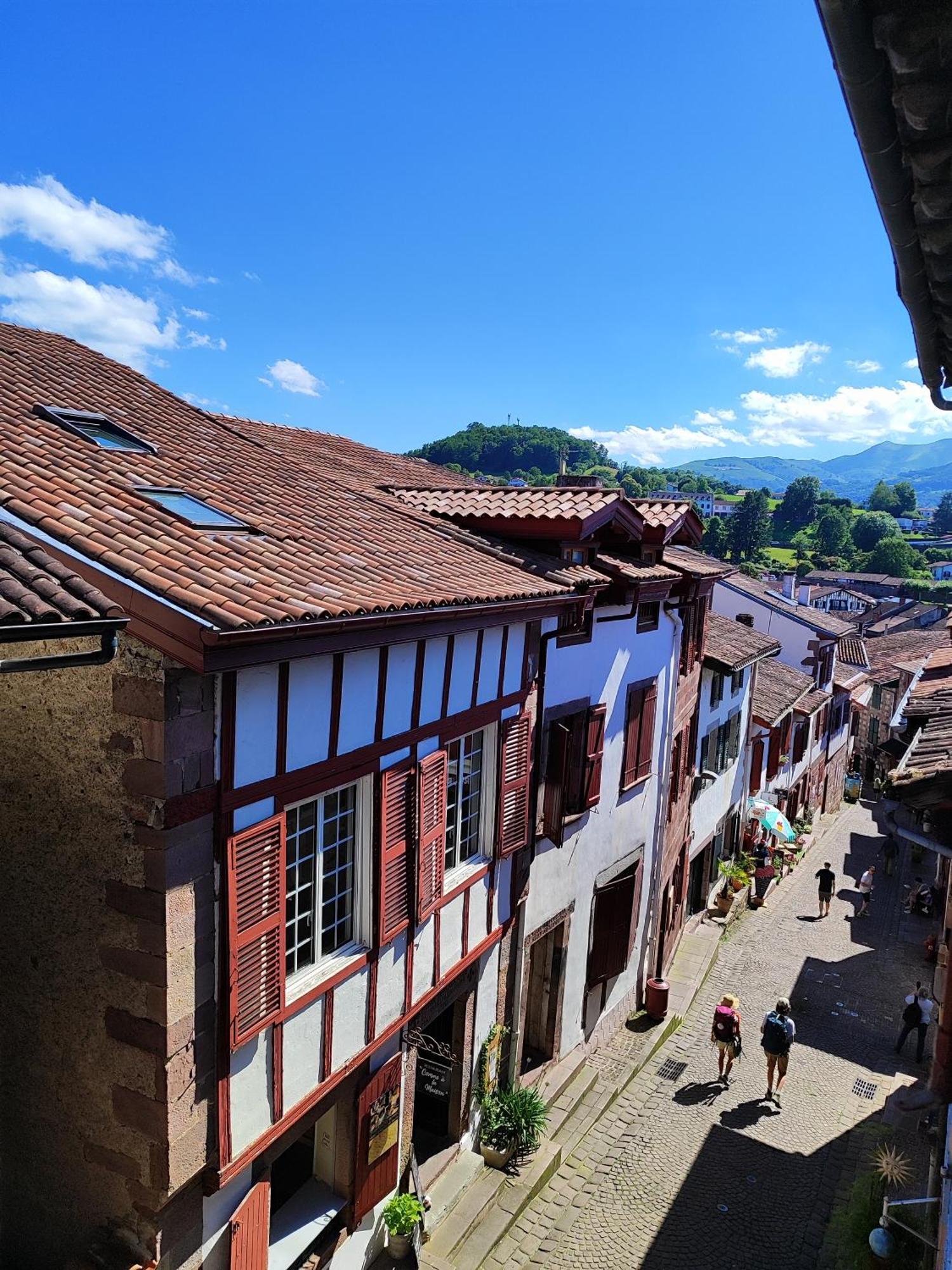 L'Auberge Du Pelerin - St Jean Pied De Port Saint-Jean-Pied-de-Port Ngoại thất bức ảnh