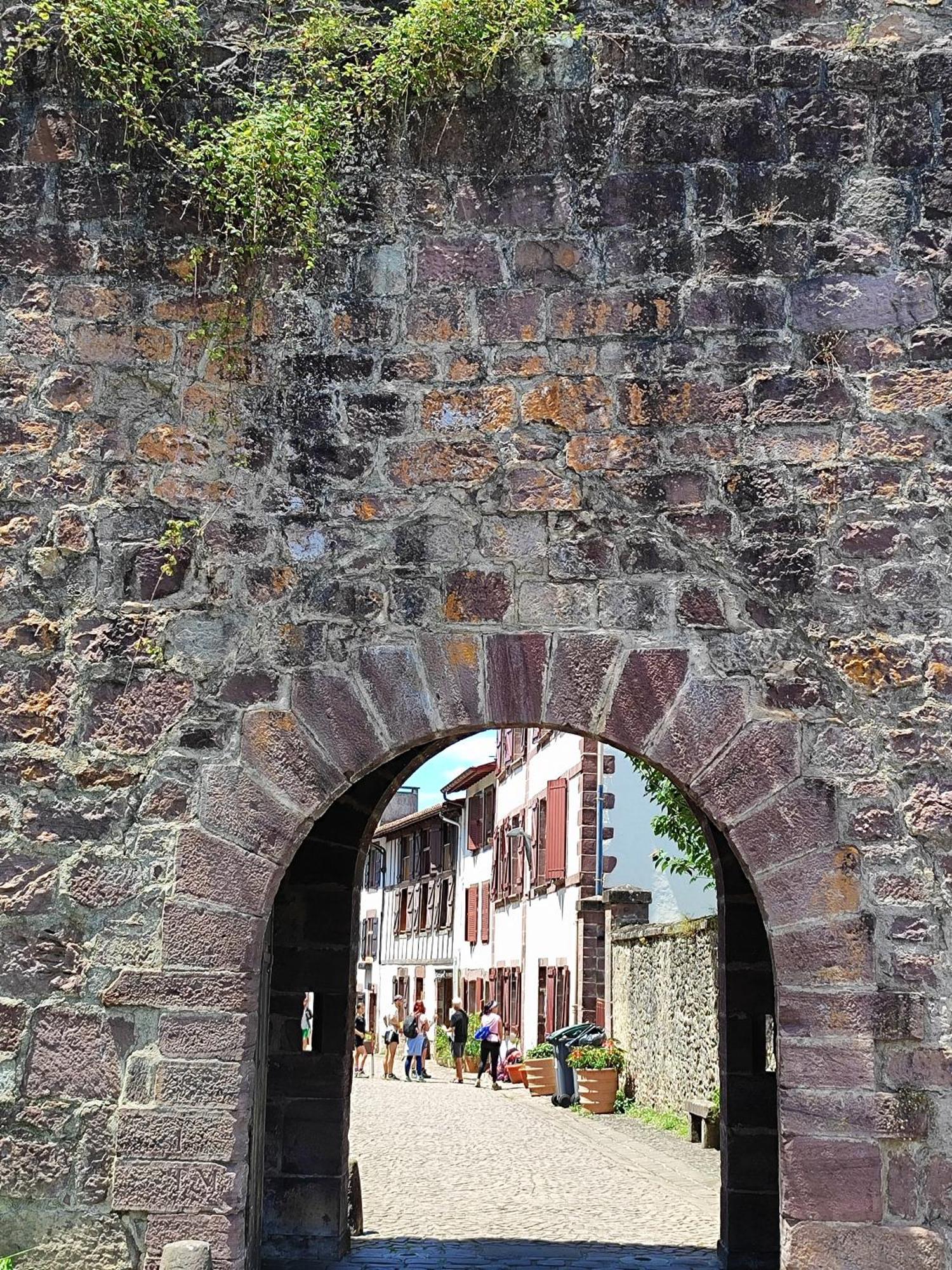 L'Auberge Du Pelerin - St Jean Pied De Port Saint-Jean-Pied-de-Port Ngoại thất bức ảnh