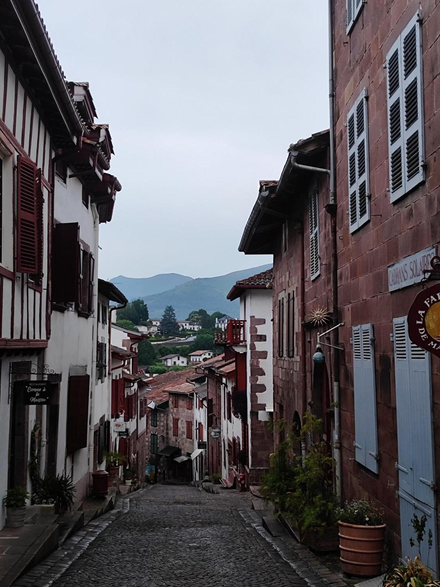 L'Auberge Du Pelerin - St Jean Pied De Port Saint-Jean-Pied-de-Port Ngoại thất bức ảnh
