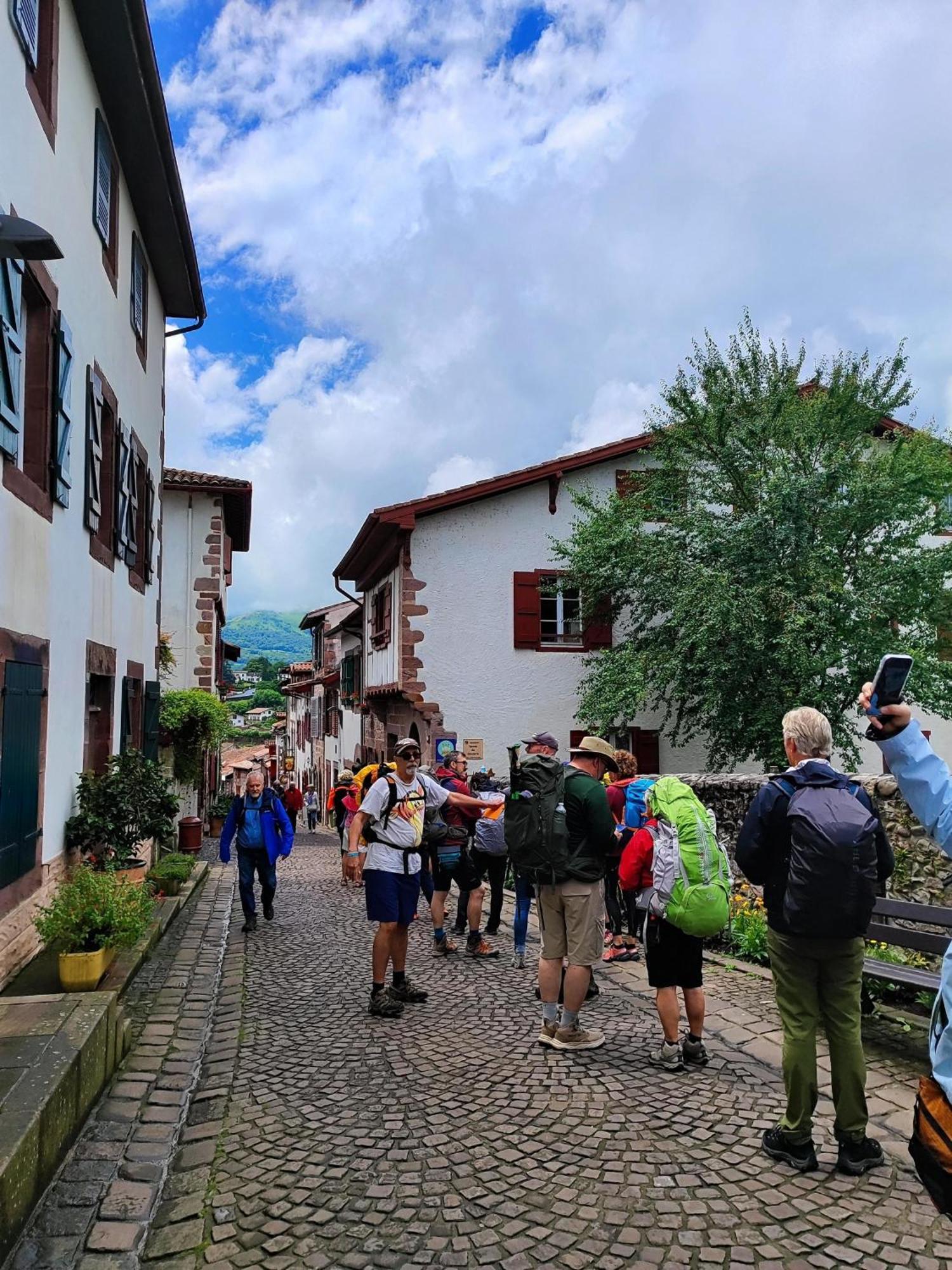 L'Auberge Du Pelerin - St Jean Pied De Port Saint-Jean-Pied-de-Port Ngoại thất bức ảnh